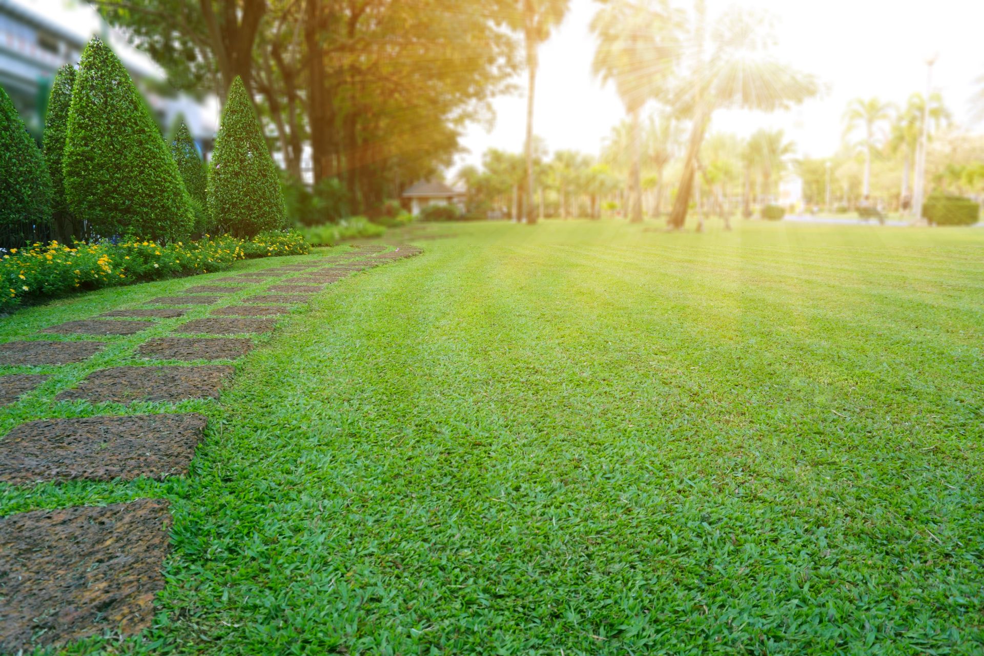 Well-maintained lawn with manicured hedges and garden pathway in sunlight