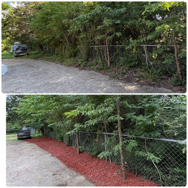 Before and after of a fence line cleared and edged with red mulch