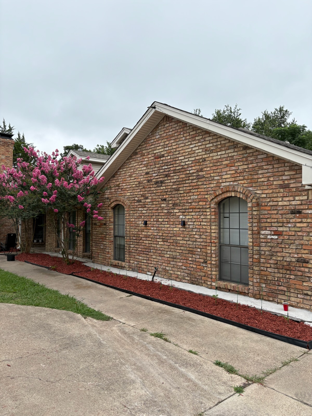 Fresh red mulch bed along a brick home with crepe myrtles