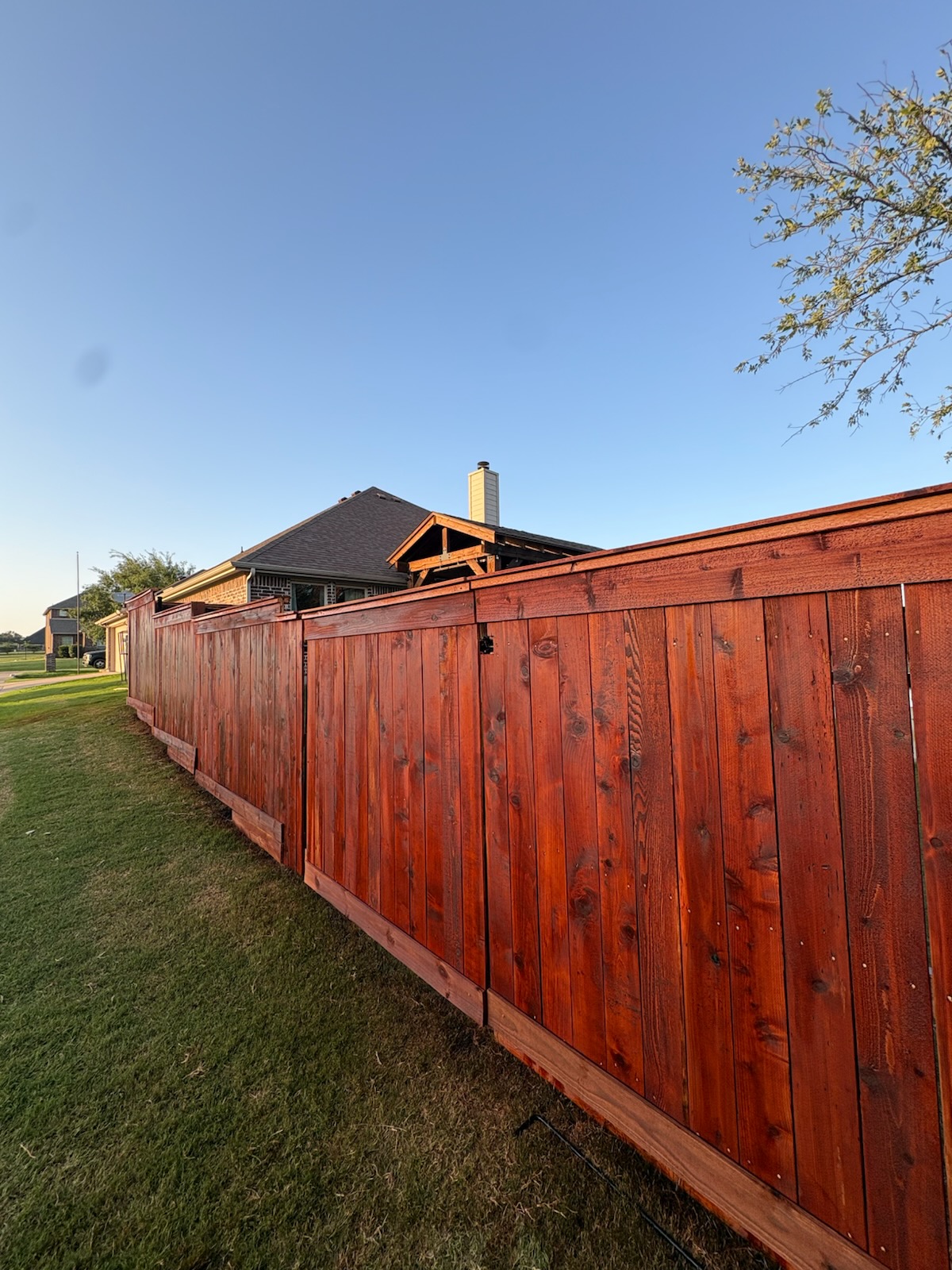 Freshly stained red cedar privacy fence at sunset