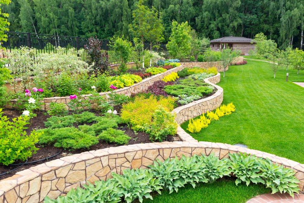 Curved stone garden beds with yellow flowers, green shrubs, and manicured lawn in landscaped yard